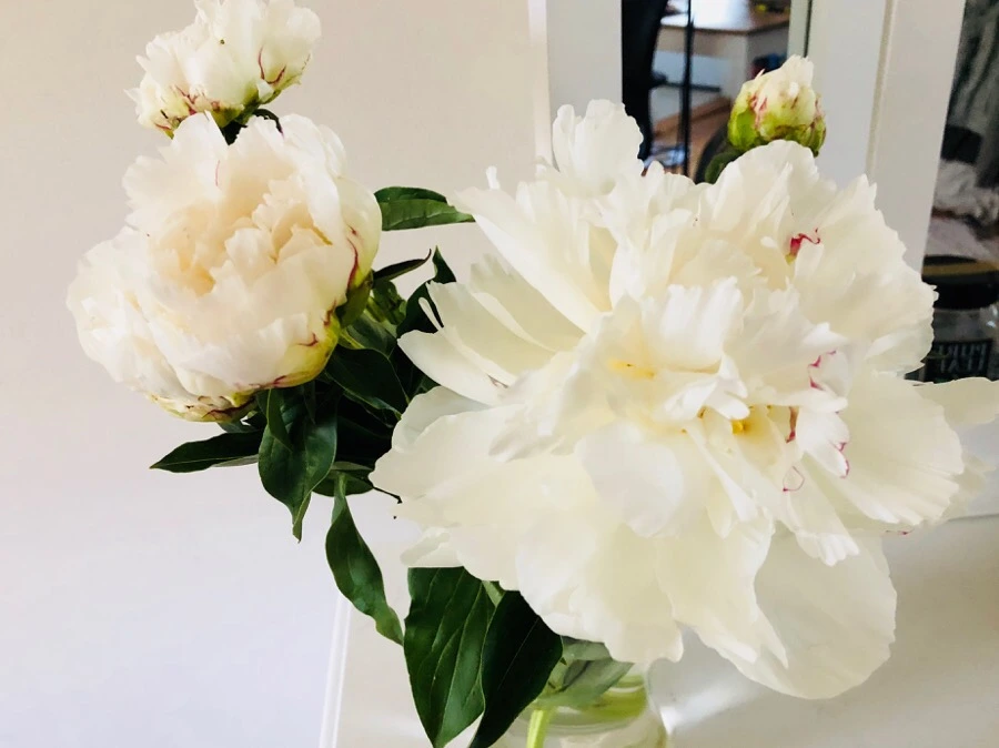 IMG_6297.jpg?type=w966