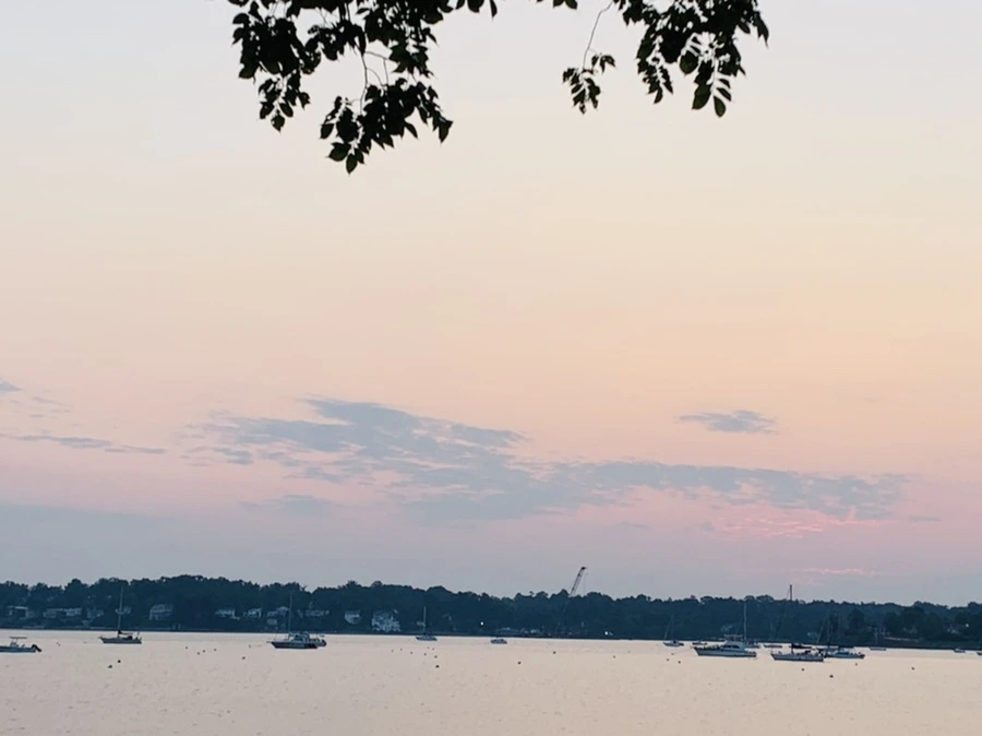 IMG_2386.jpg?type=w966