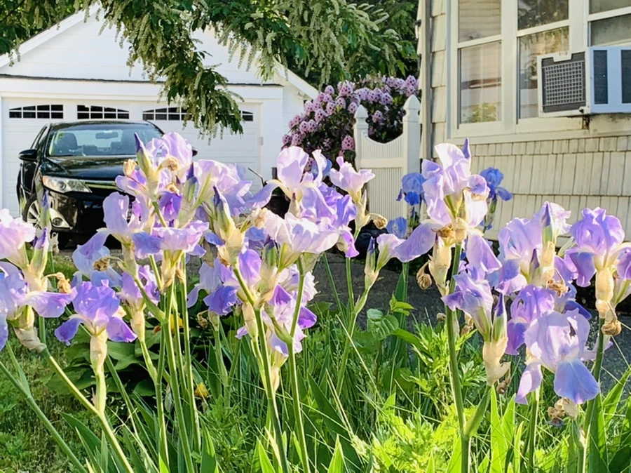 IMG_4600.jpg?type=w966