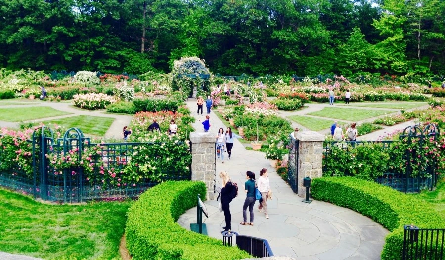 IMG_3631.jpg?type=w1