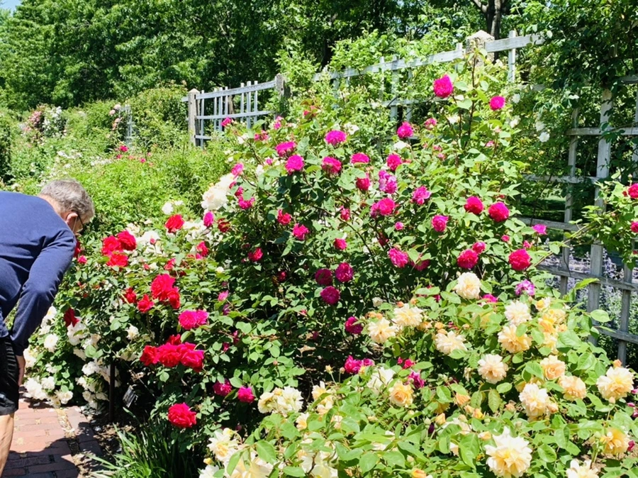 IMG_6803.jpg?type=w966