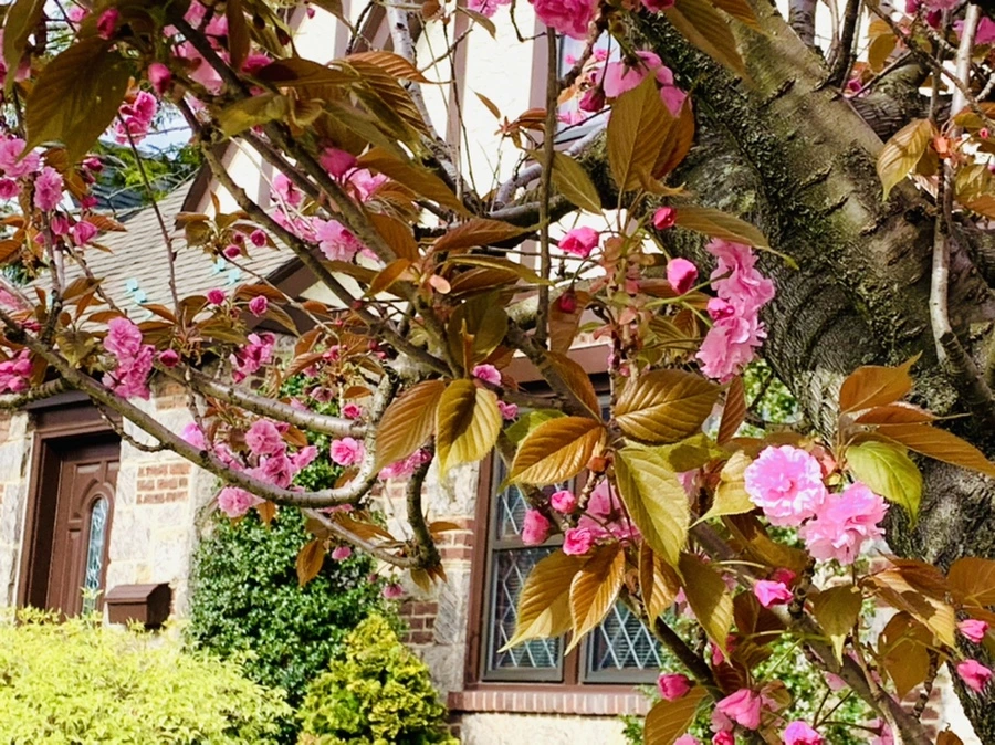 IMG_4356.jpg?type=w966