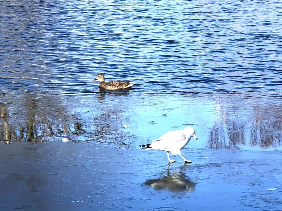 IMG_0579.jpg?type=w966