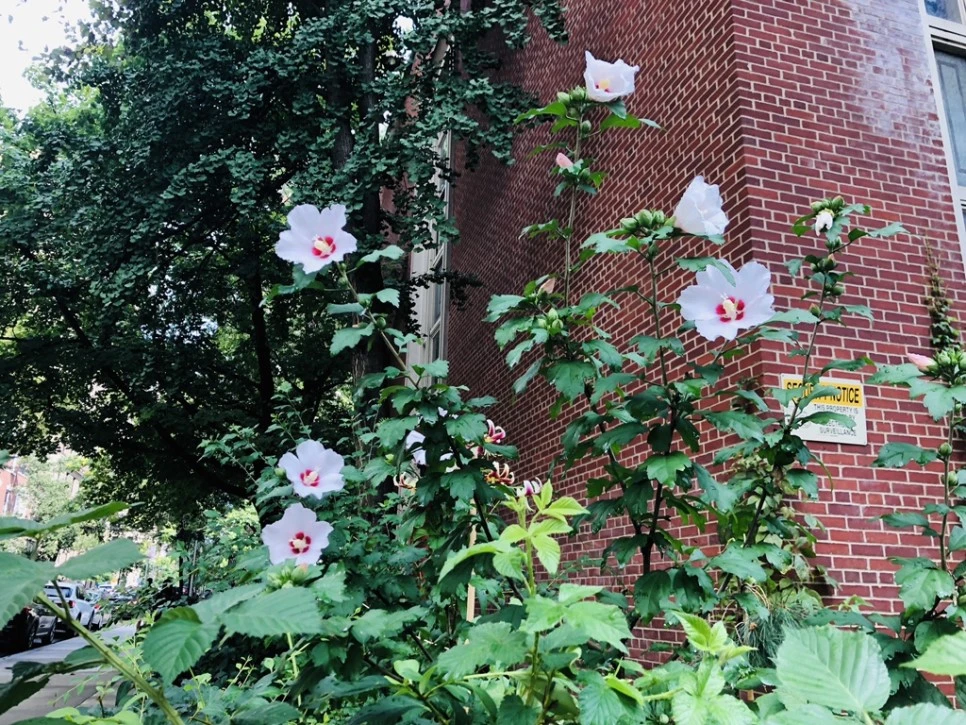 IMG_7731.jpg?type=w966