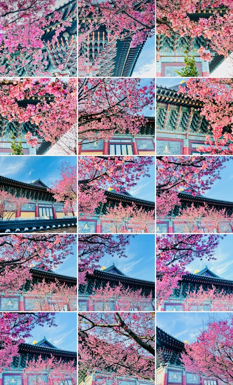 IMG_6211.jpg?type=w966