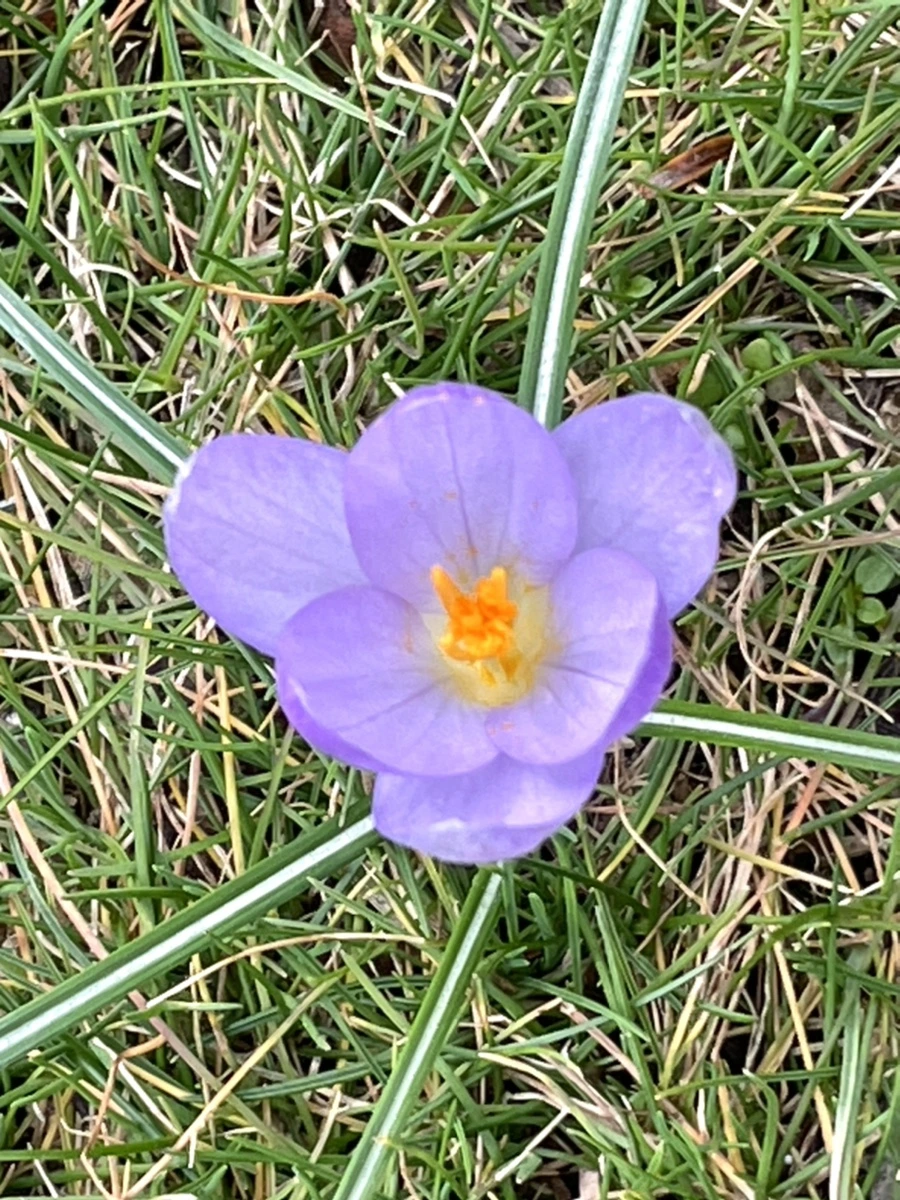 IMG_4078.jpg?type=w966