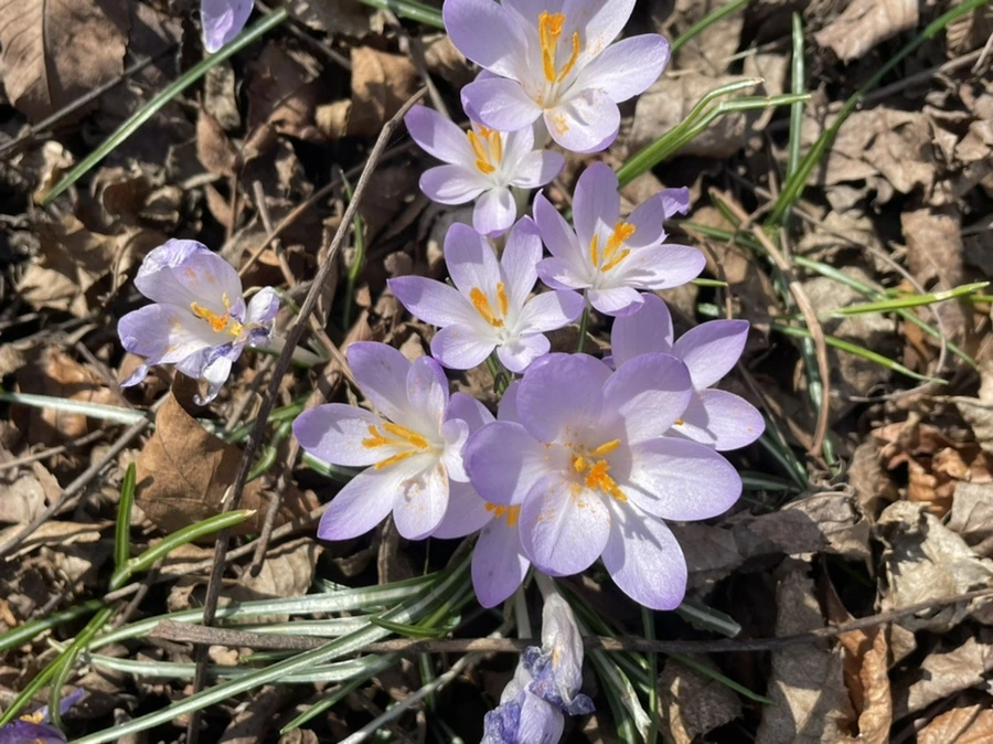 IMG_5323.jpg?type=w966