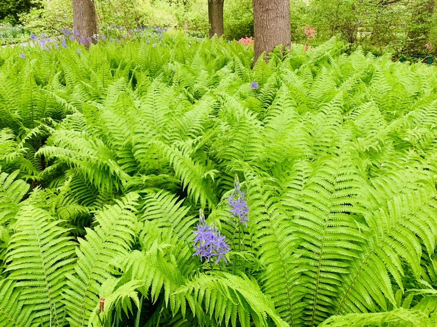 IMG_9797.jpg?type=w966