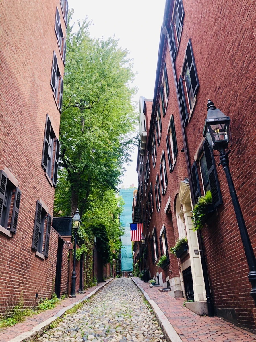 IMG_0600.jpg?type=w966