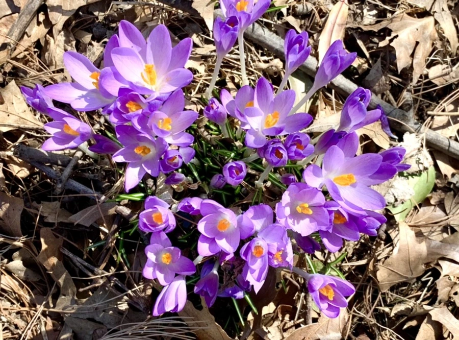 IMG_9690.jpg?type=w966