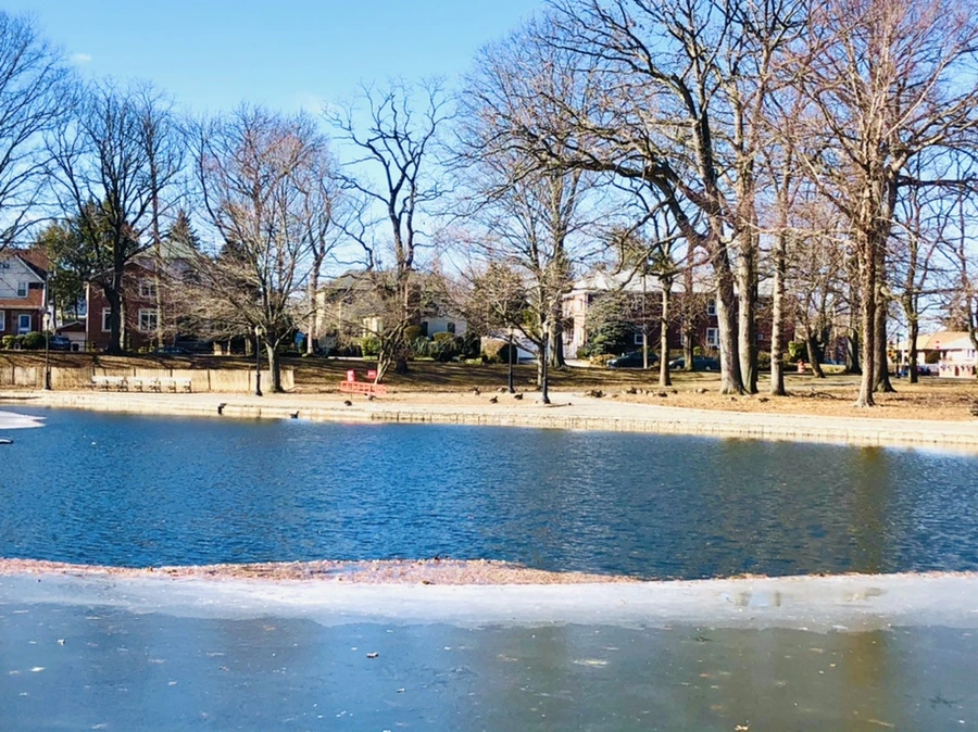 IMG_7597.jpg?type=w966