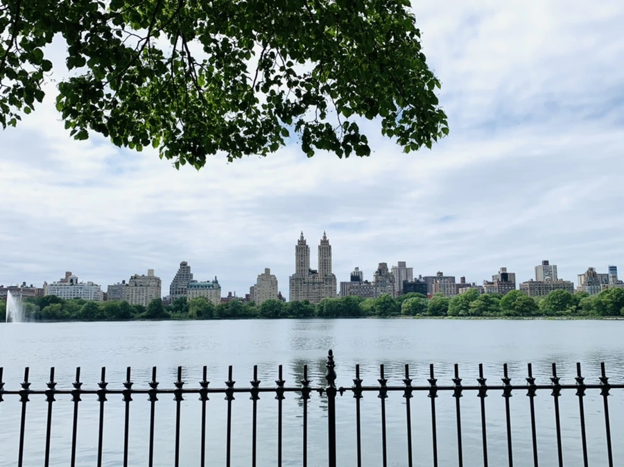 IMG_6398.jpg?type=w966