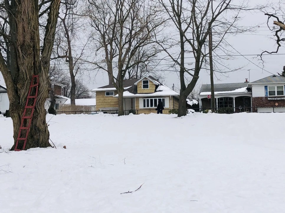 IMG_2712.jpg?type=w966