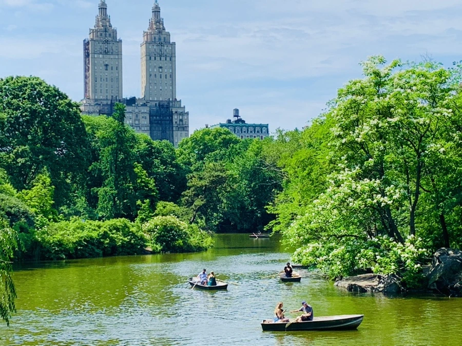 IMG_2333.jpg?type=w966