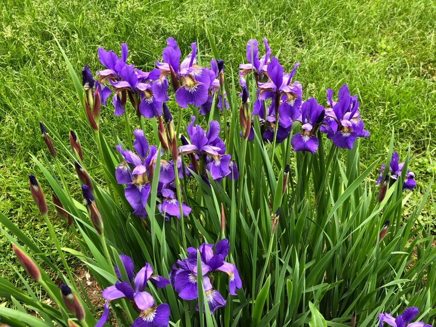 IMG_6144.jpg?type=w966