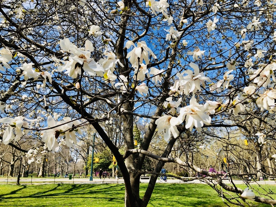 IMG_6656.jpg?type=w966