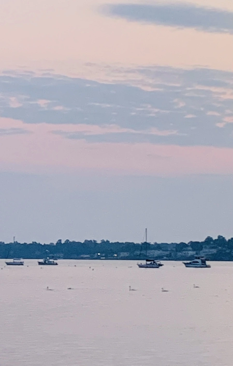 IMG_2286.jpg?type=w966