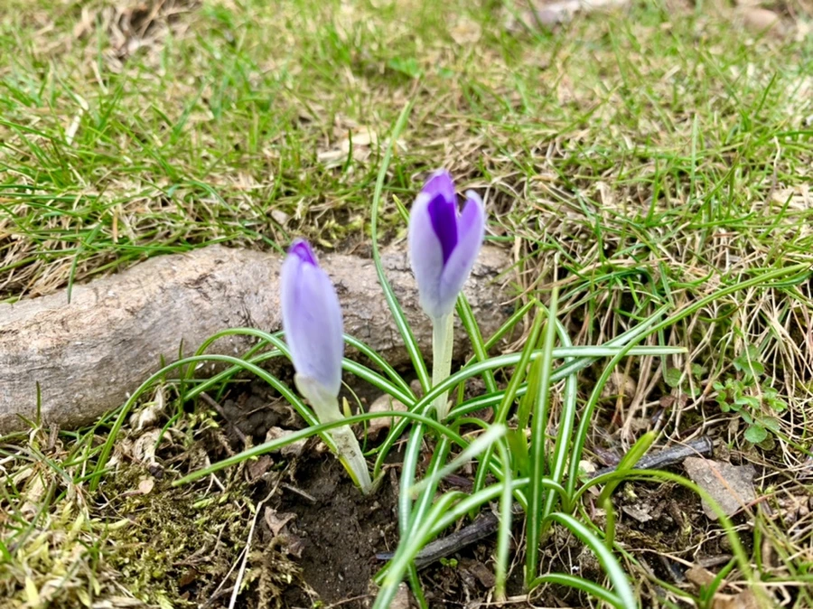 IMG_7089.jpg?type=w966