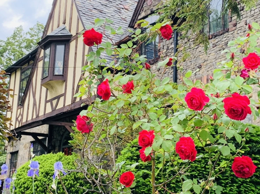 IMG_4811.jpg?type=w966