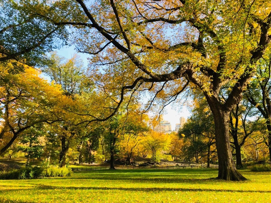 IMG_7512.jpg?type=w966