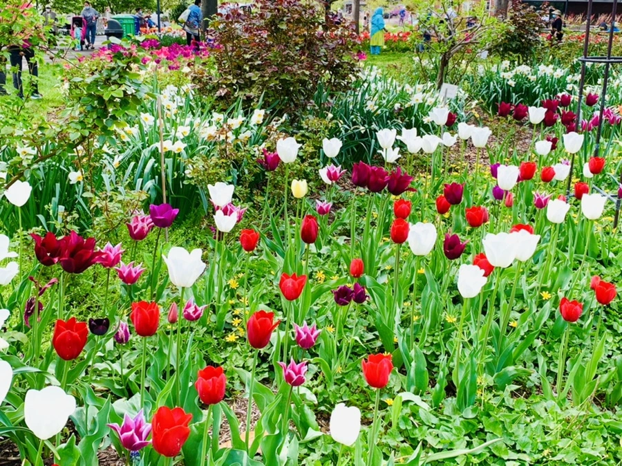 IMG_6928.jpg?type=w966