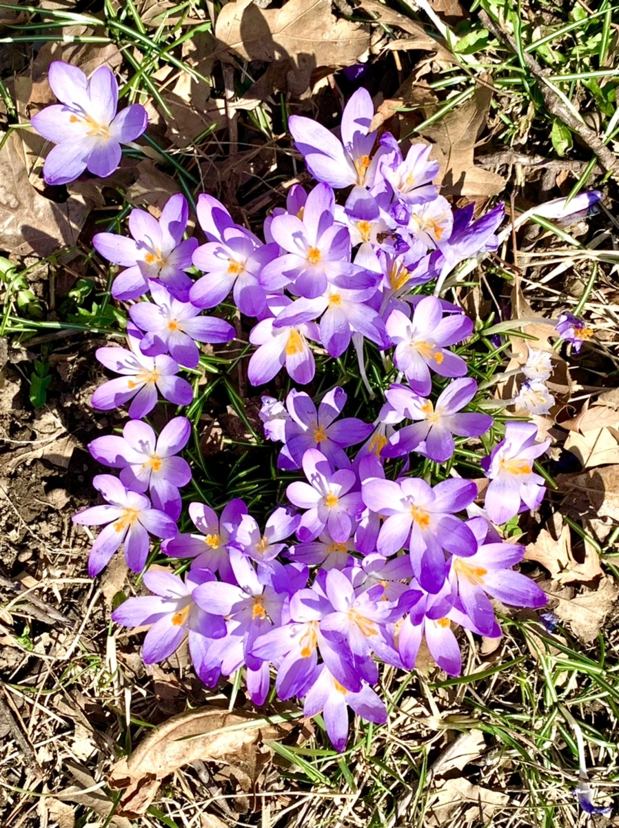 IMG_3162.jpg?type=w966