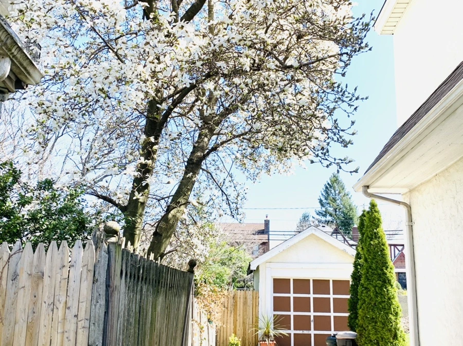 IMG_7657.jpg?type=w966