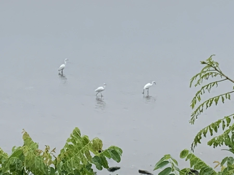 IMG_9714.jpg?type=w966