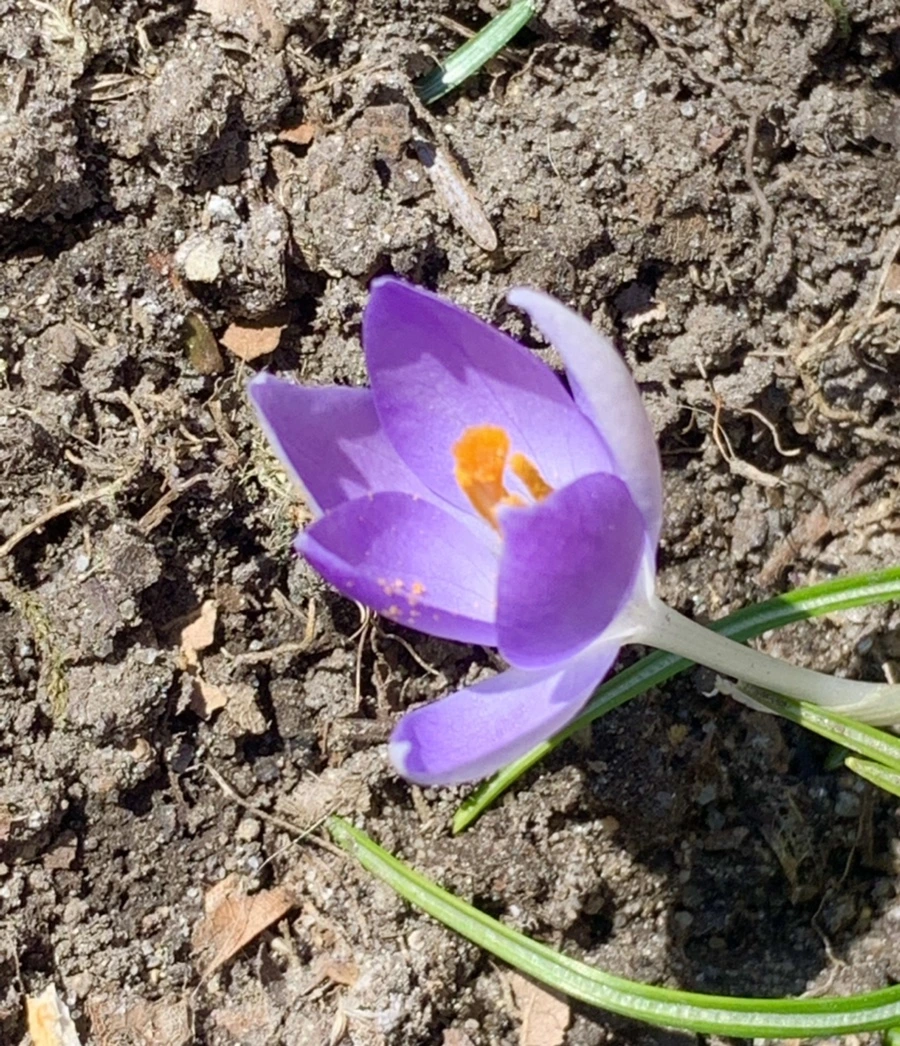 IMG_8218.jpg?type=w966