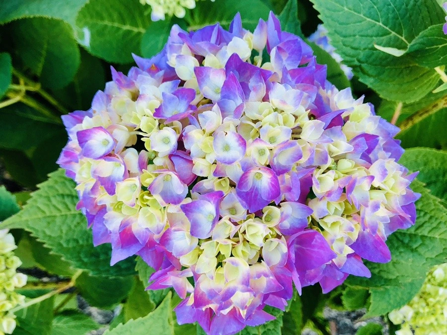 ajV-MdUucFbxMJJLiJwta-nByhQ