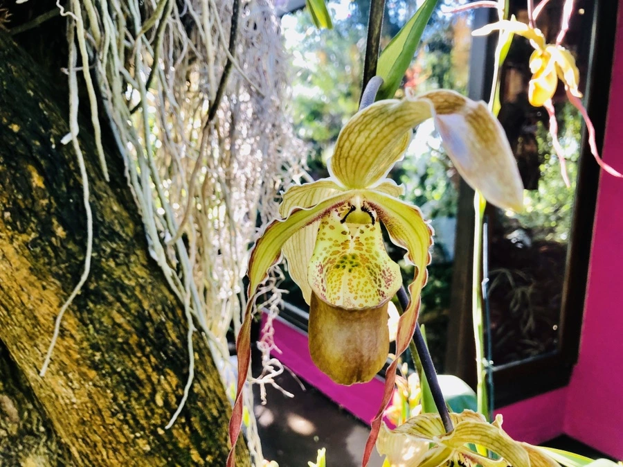 IMG_6264.jpg?type=w966