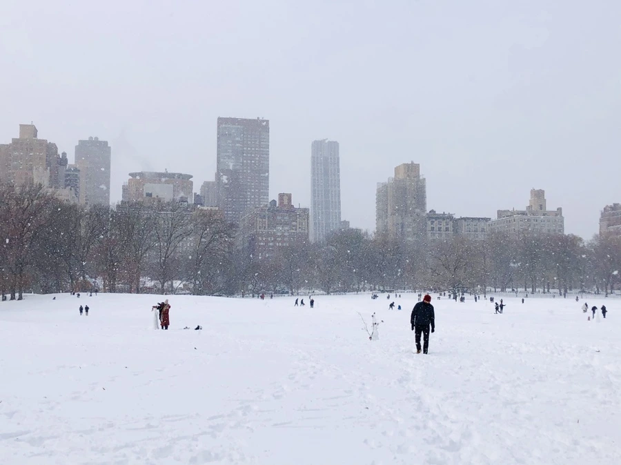 IMG_7162.jpg?type=w966