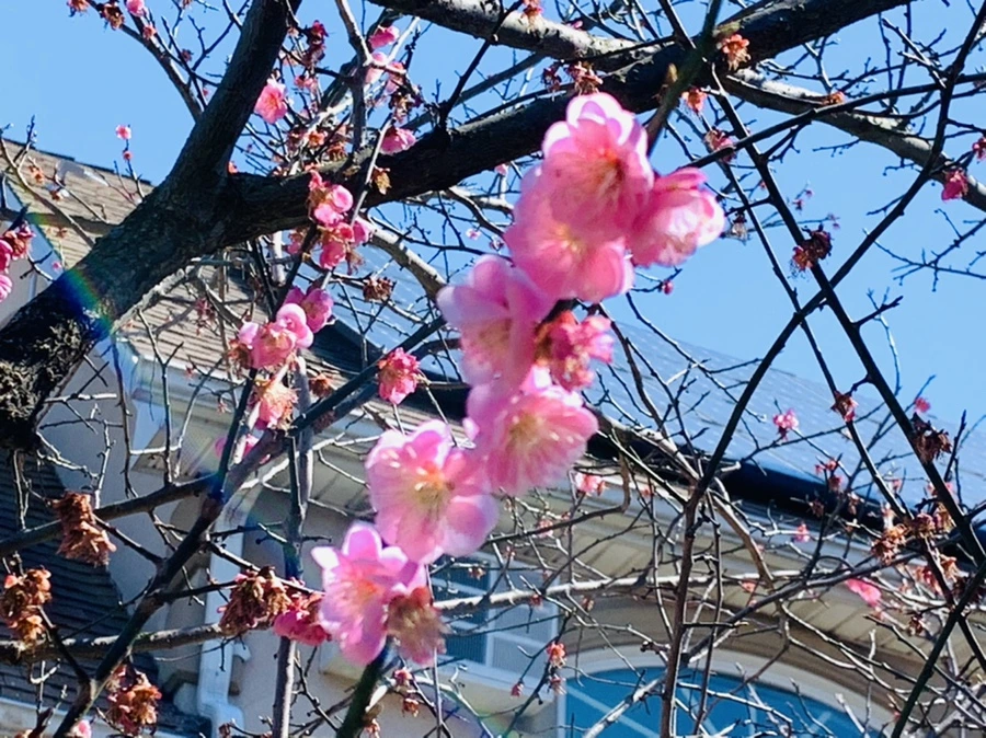 IMG_7811.jpg?type=w966