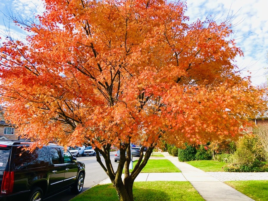 IMG_5355.jpg?type=w966