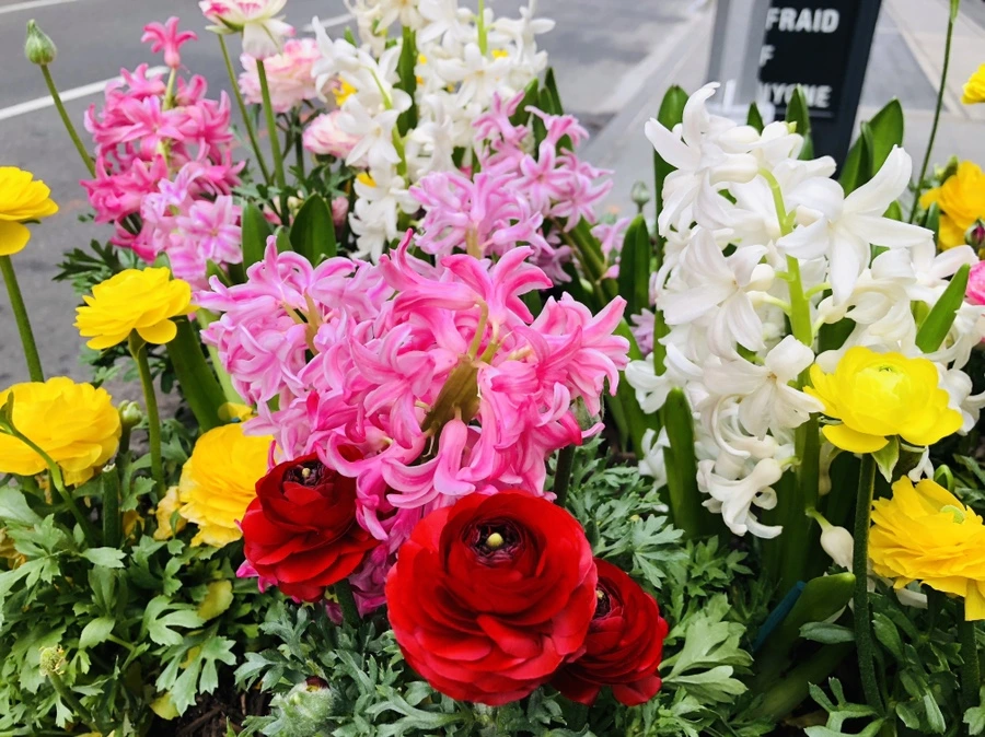 IMG_3237.jpg?type=w966