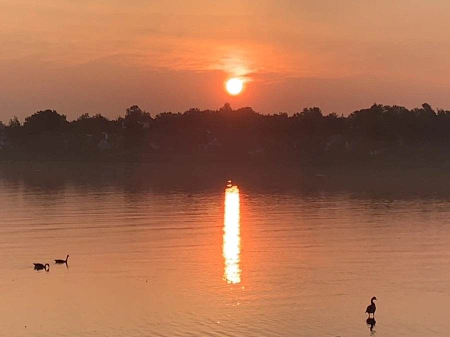 IMG_1384.jpg?type=w966