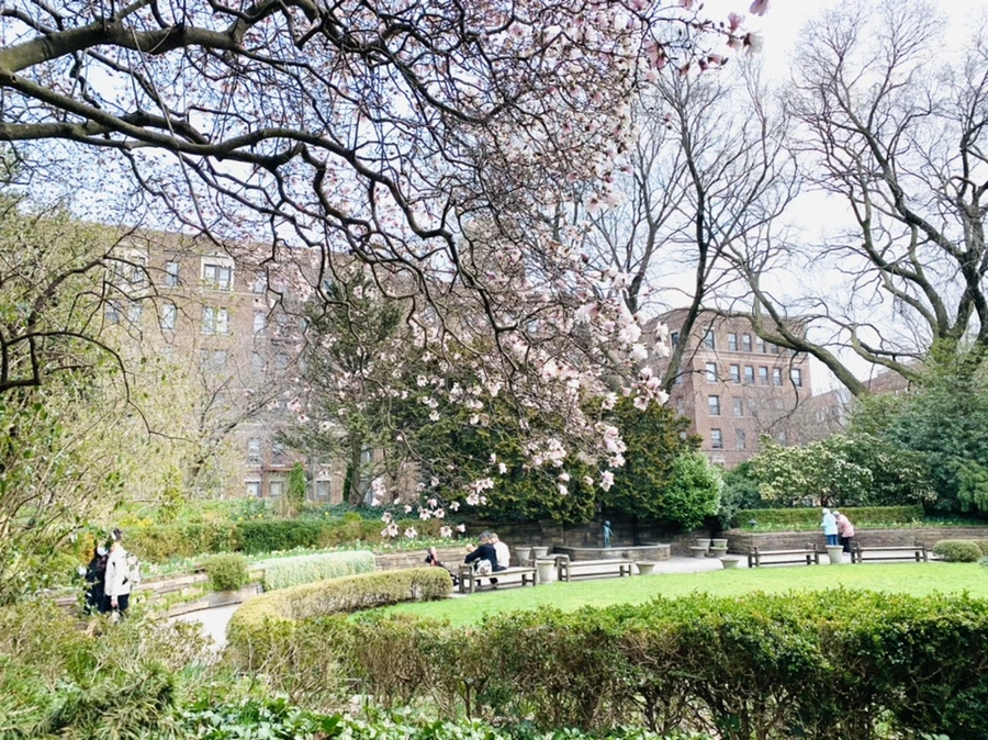 IMG_7120.jpg?type=w966