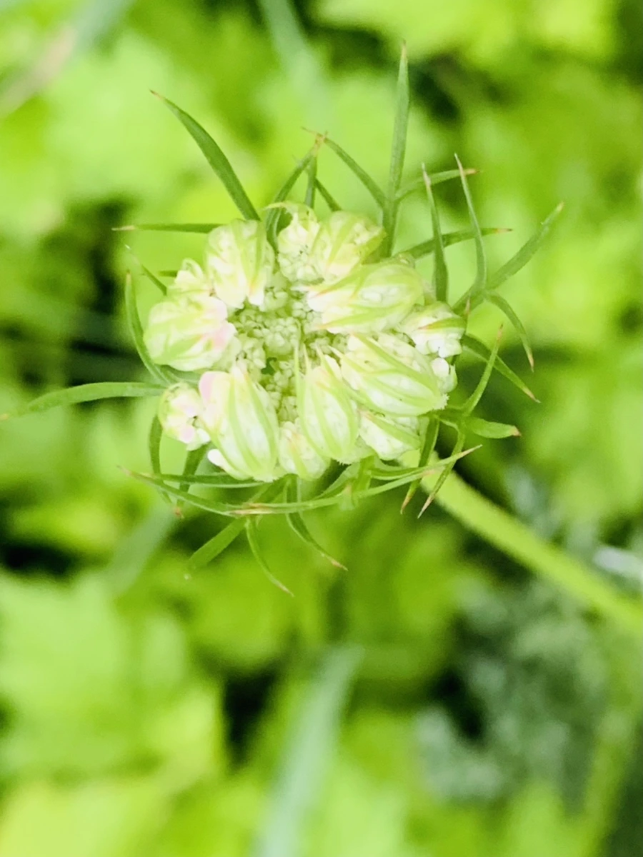 IMG_7735.jpg?type=w966