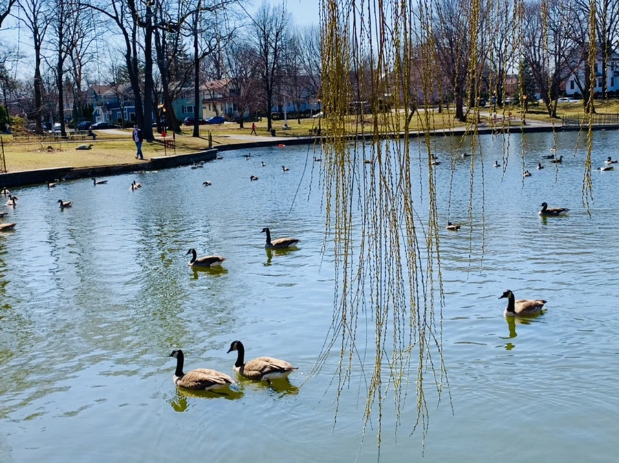 IMG_3113.jpg?type=w966