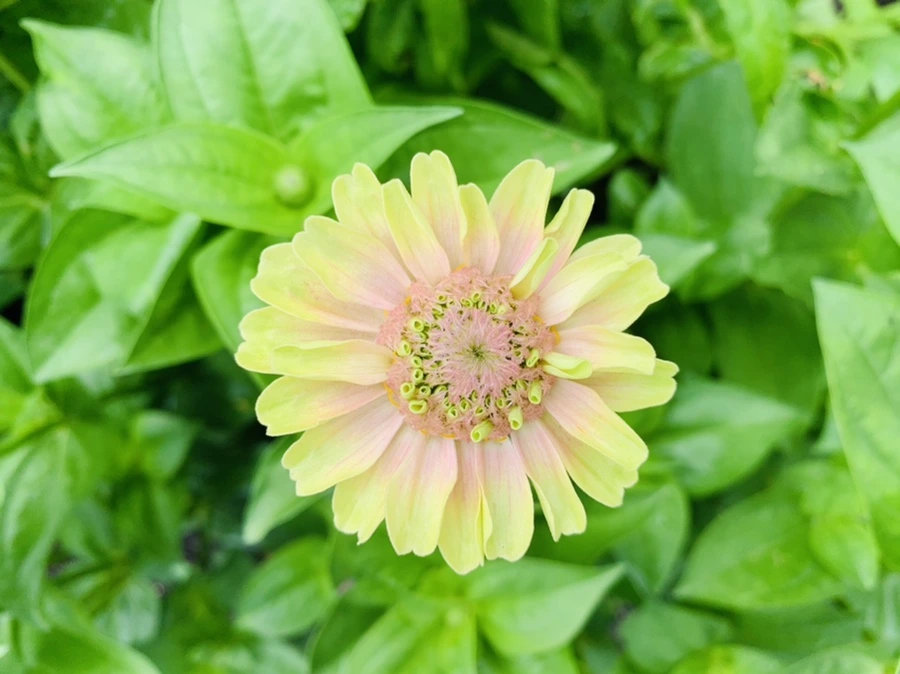 IMG_9548.jpg?type=w966