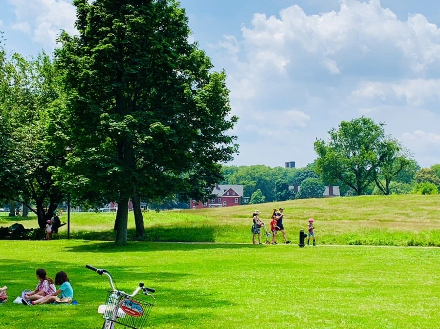 V3C6f8zuZiqjj4qSEj6GQJAIrMg