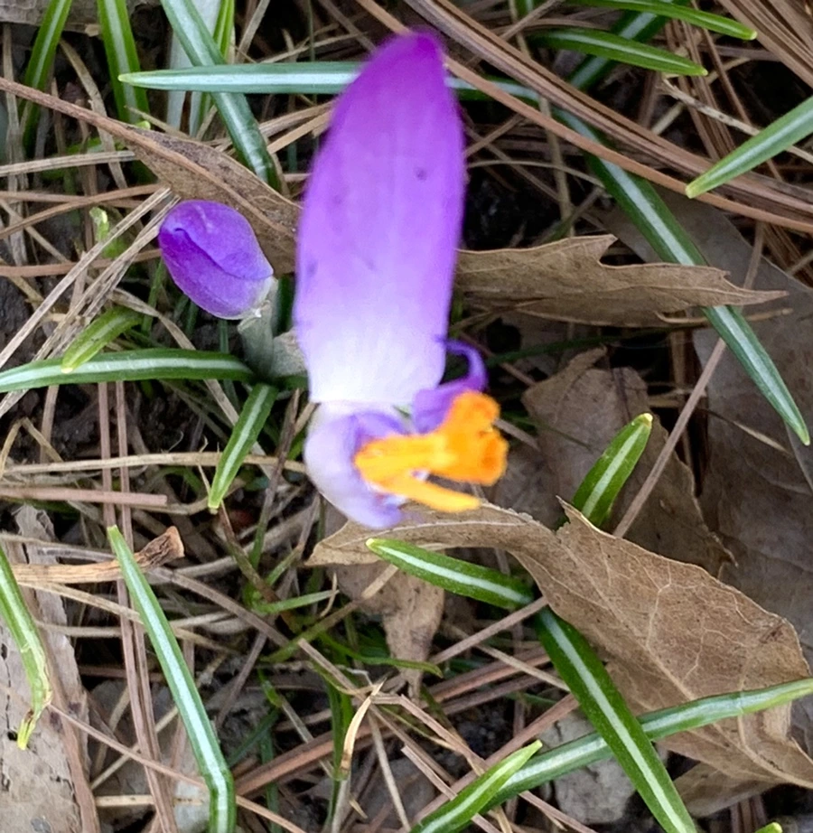 IMG_1458.jpg?type=w966