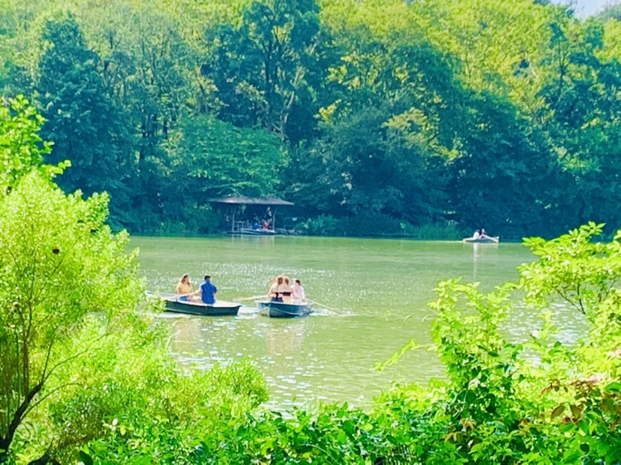 IMG_0652.jpg?type=w966