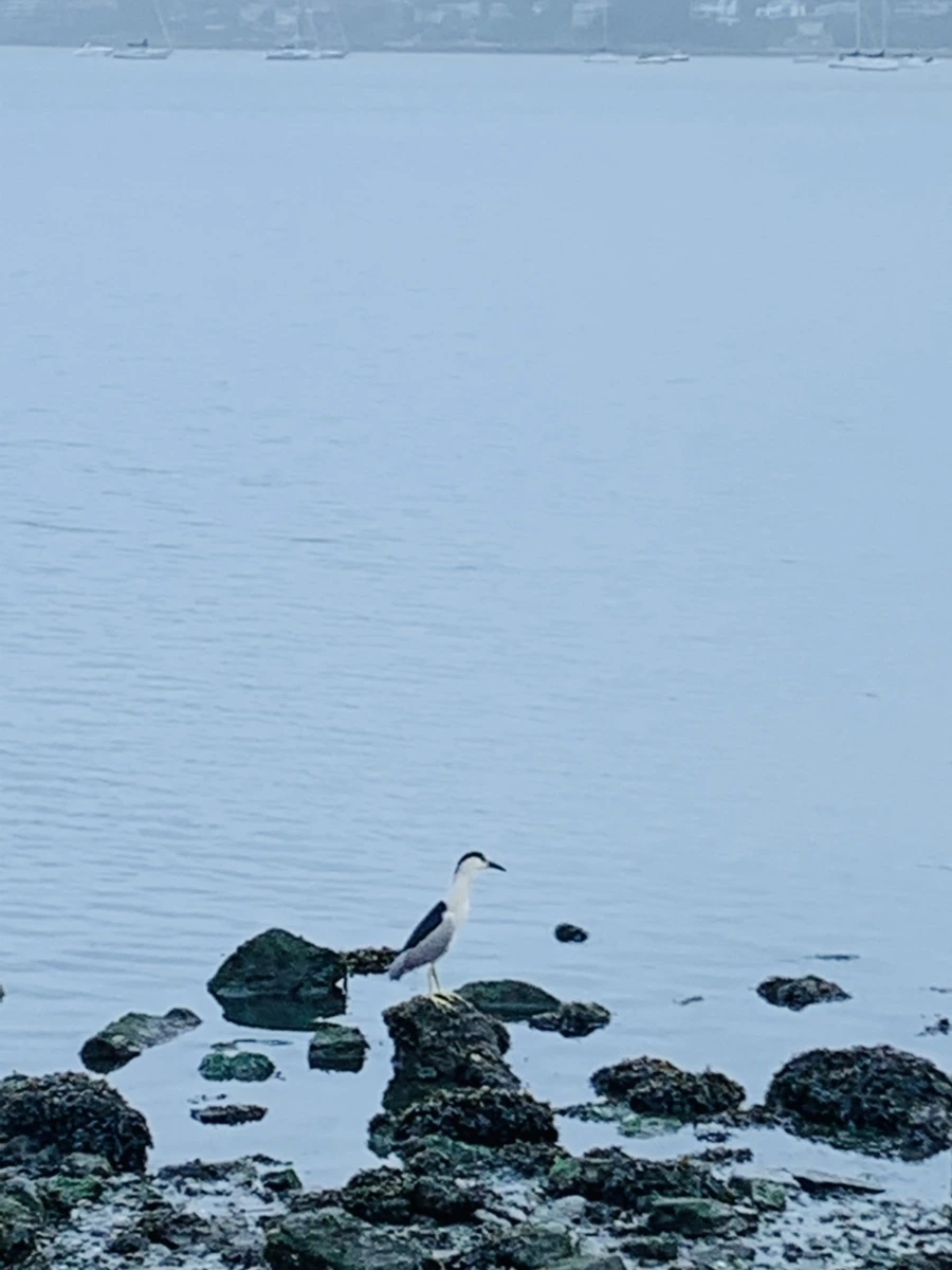 IMG_4780.jpg?type=w966