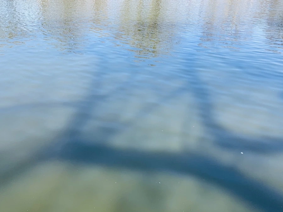 IMG_3349.jpg?type=w966