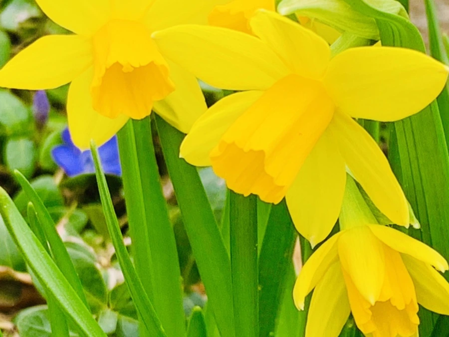 IMG_3488.jpg?type=w966