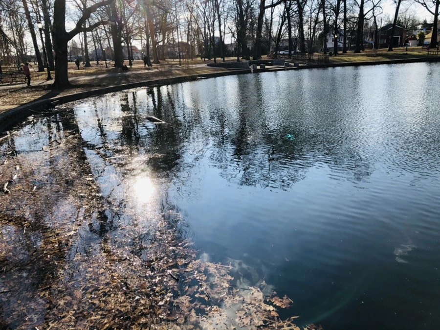 IMG_4111.jpg?type=w966