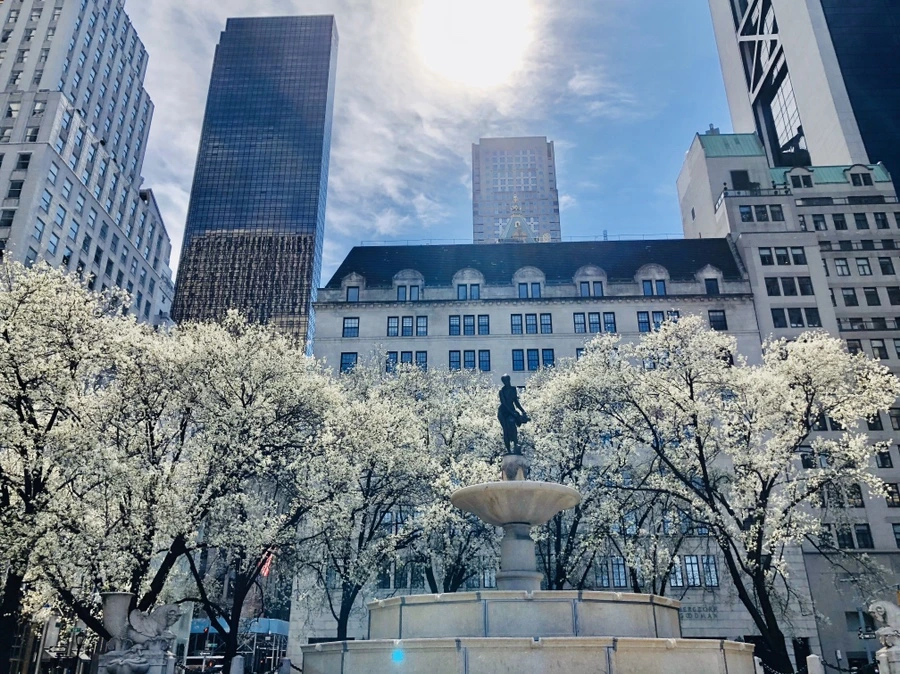 IMG_6689.jpg?type=w966