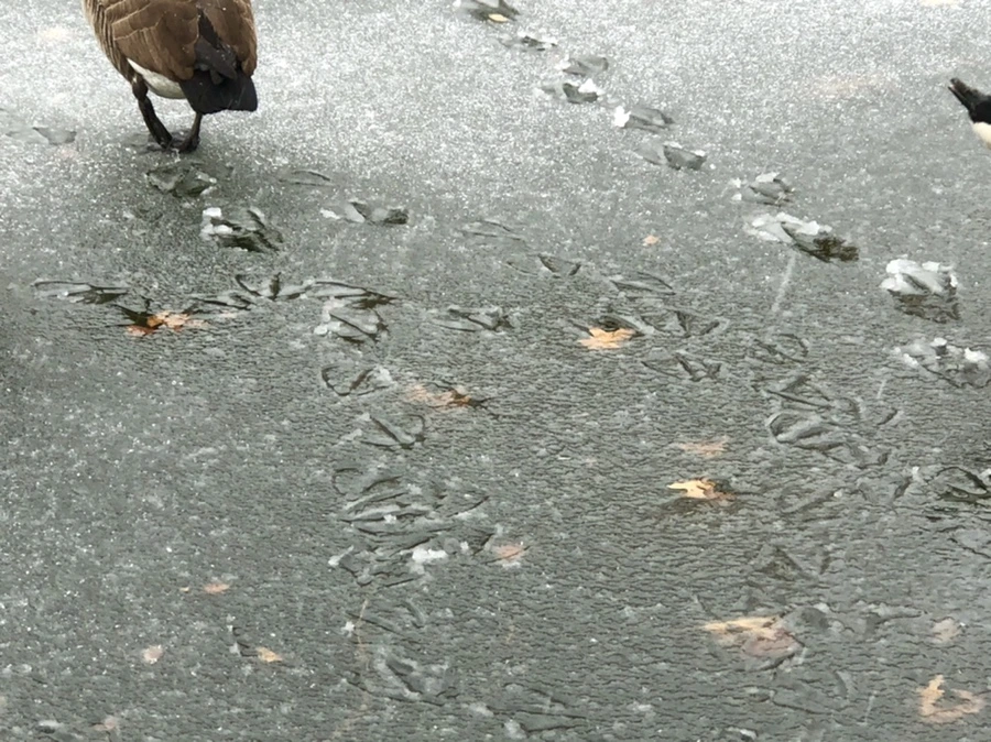 IMG_6021.jpg?type=w966