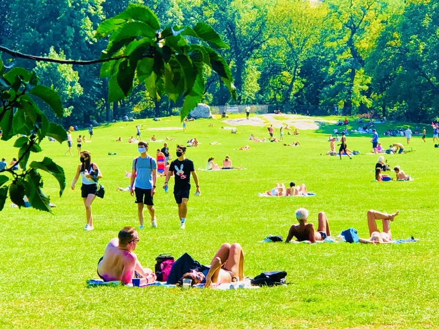 IMG_9385.jpg?type=w966